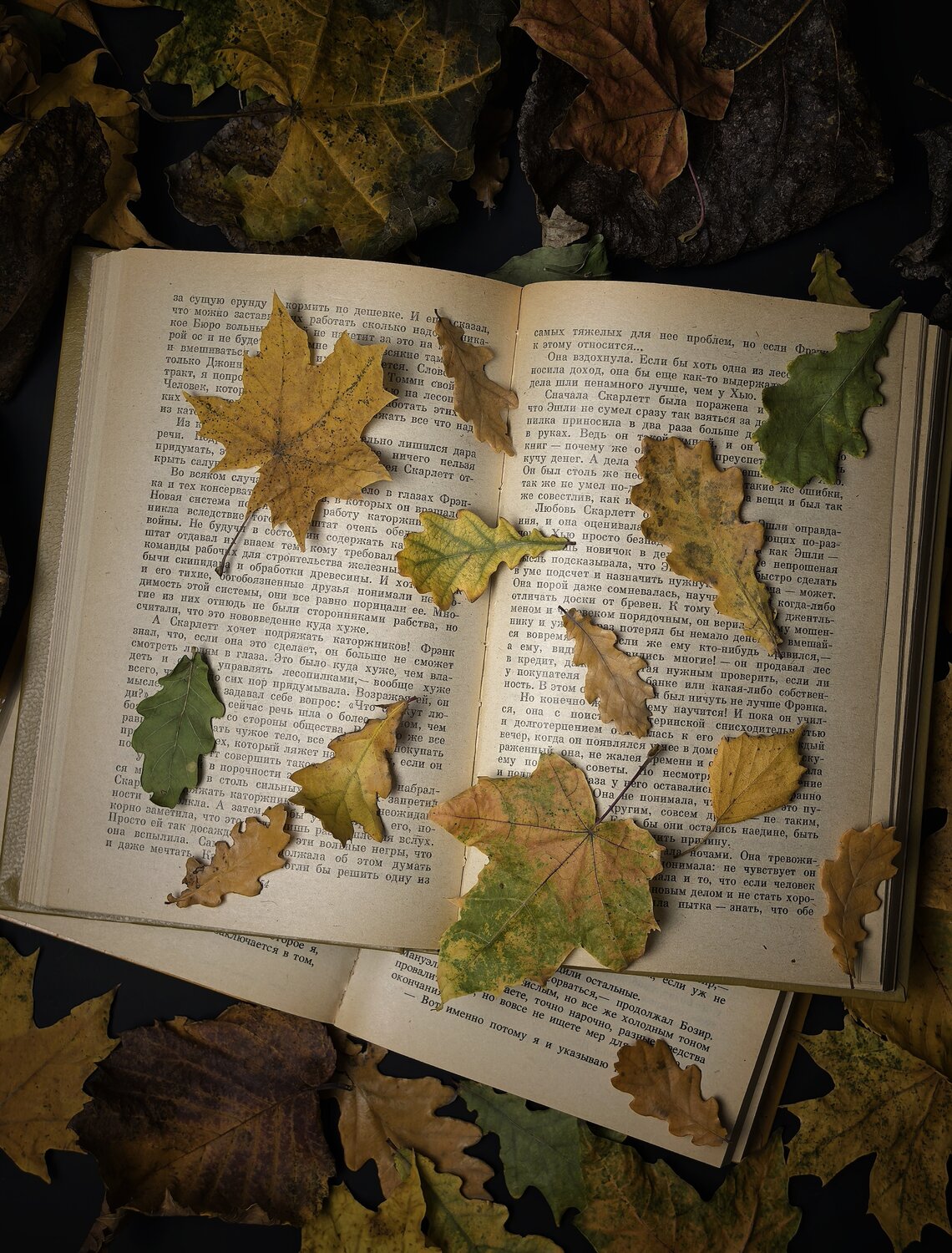 Photo #14148699
