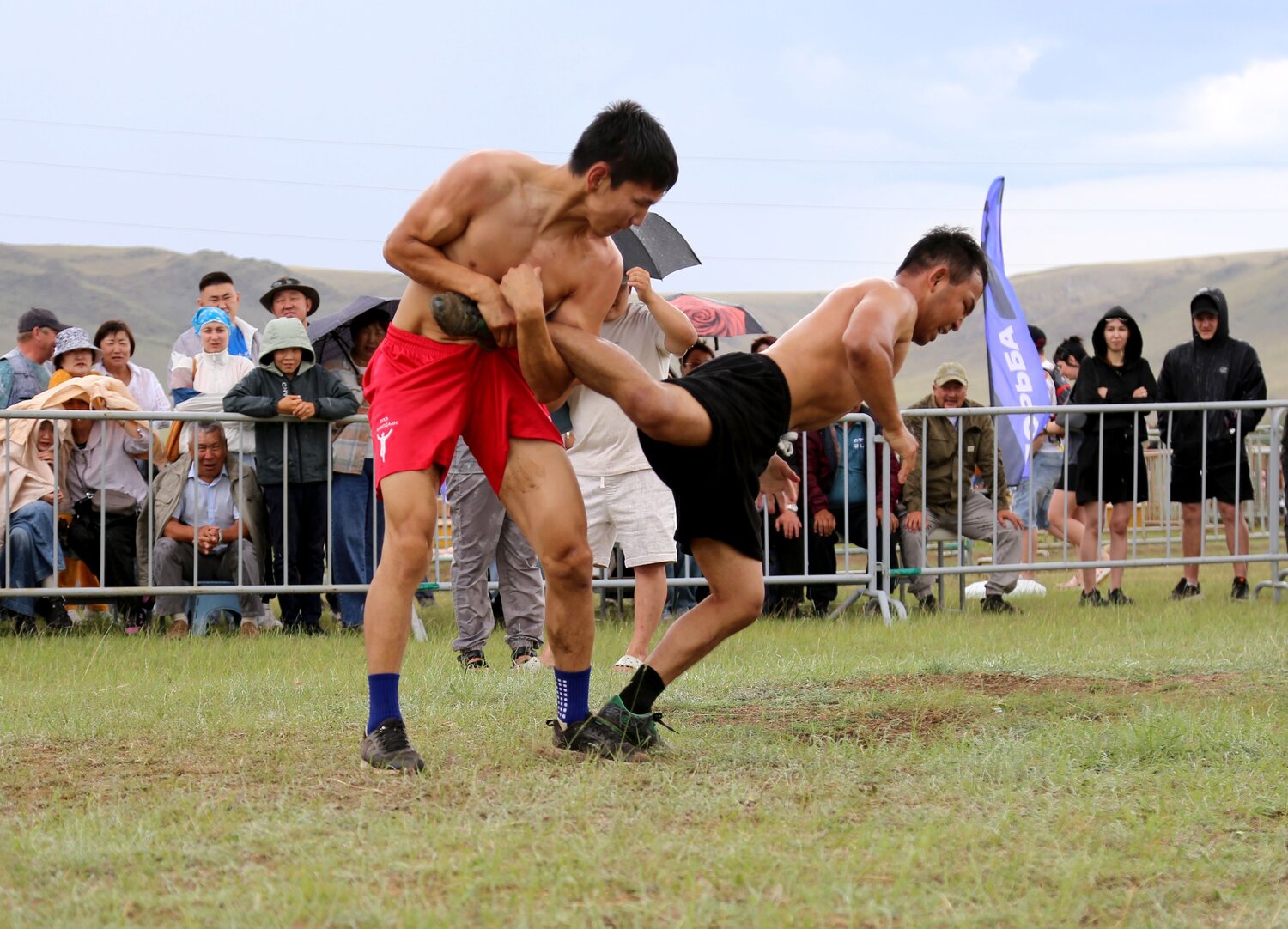 Photo #14148730