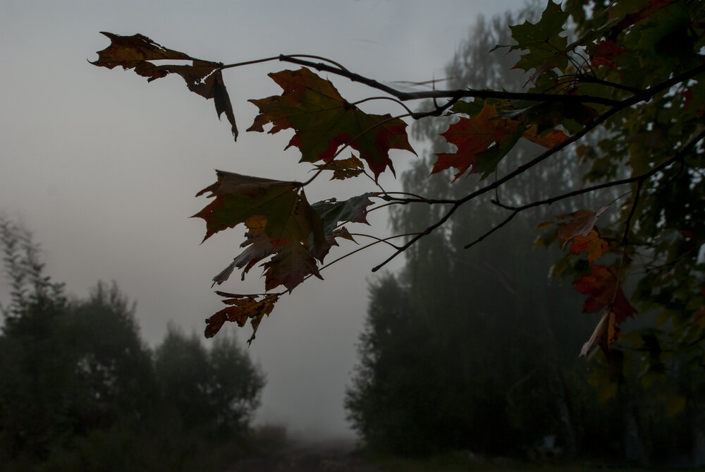 Photograph by Нина Фролова