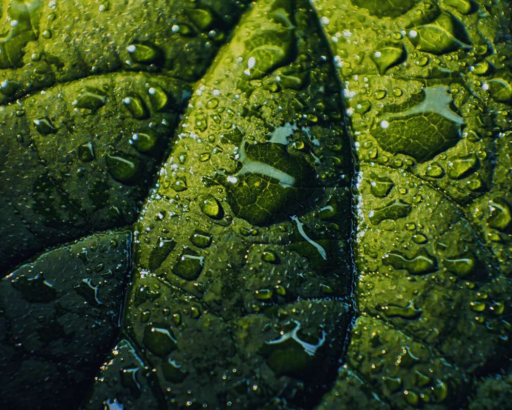 Photograph by Igor Maksimenko