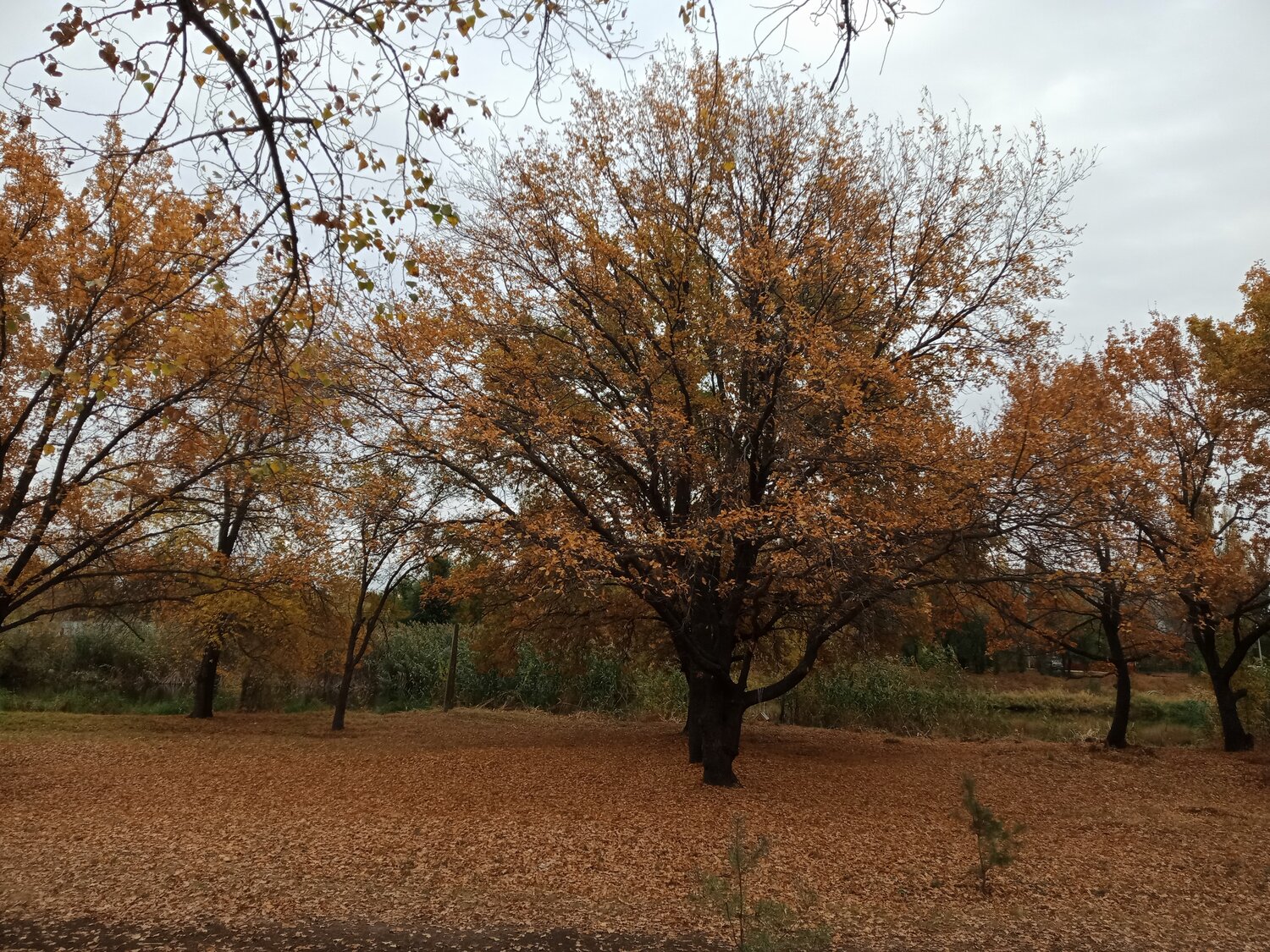 Photo #14148983
