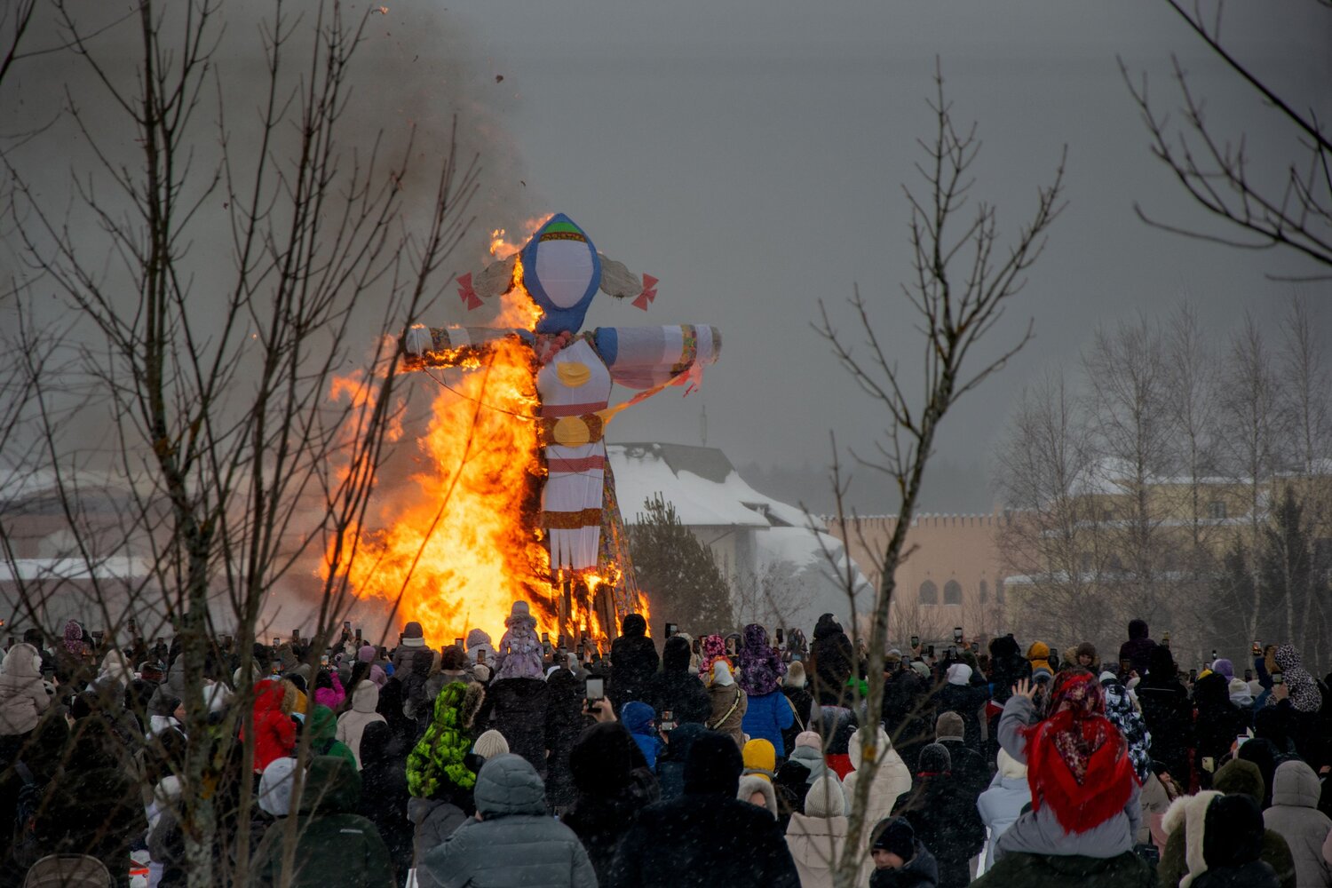 Photo #14148985