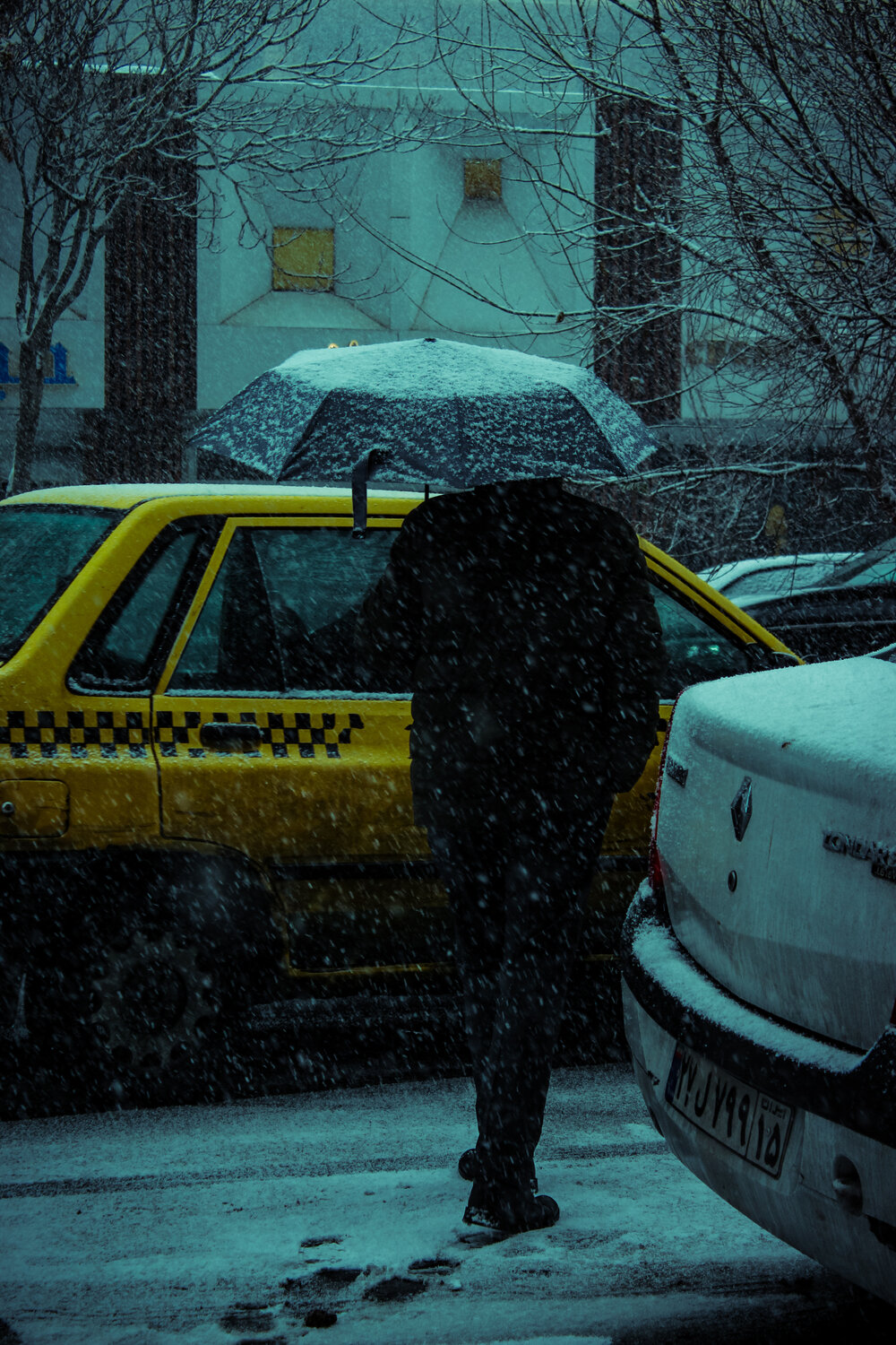 Photo #14149135