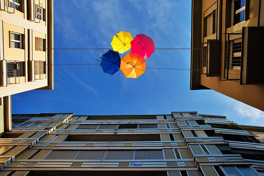 Photograph by Natalia Bondarenko