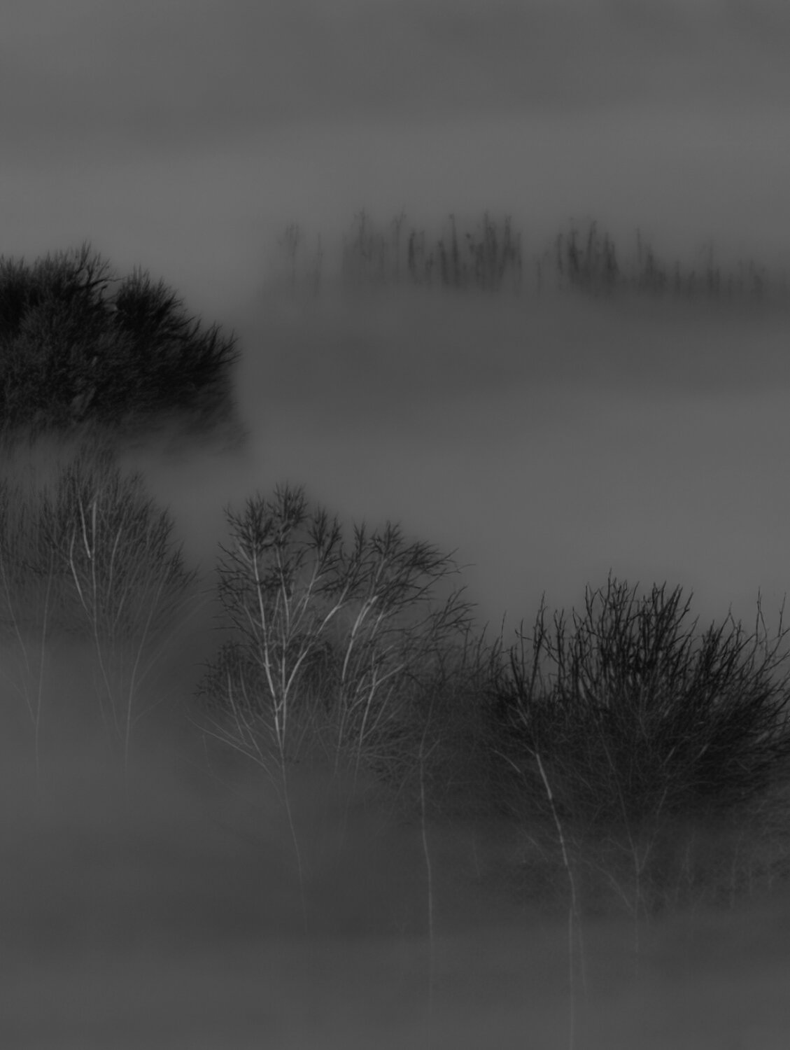 Photo #14149408