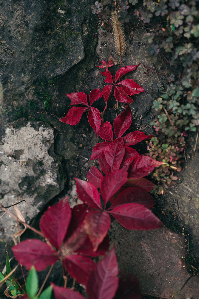 Photograph by Остапенко Алина