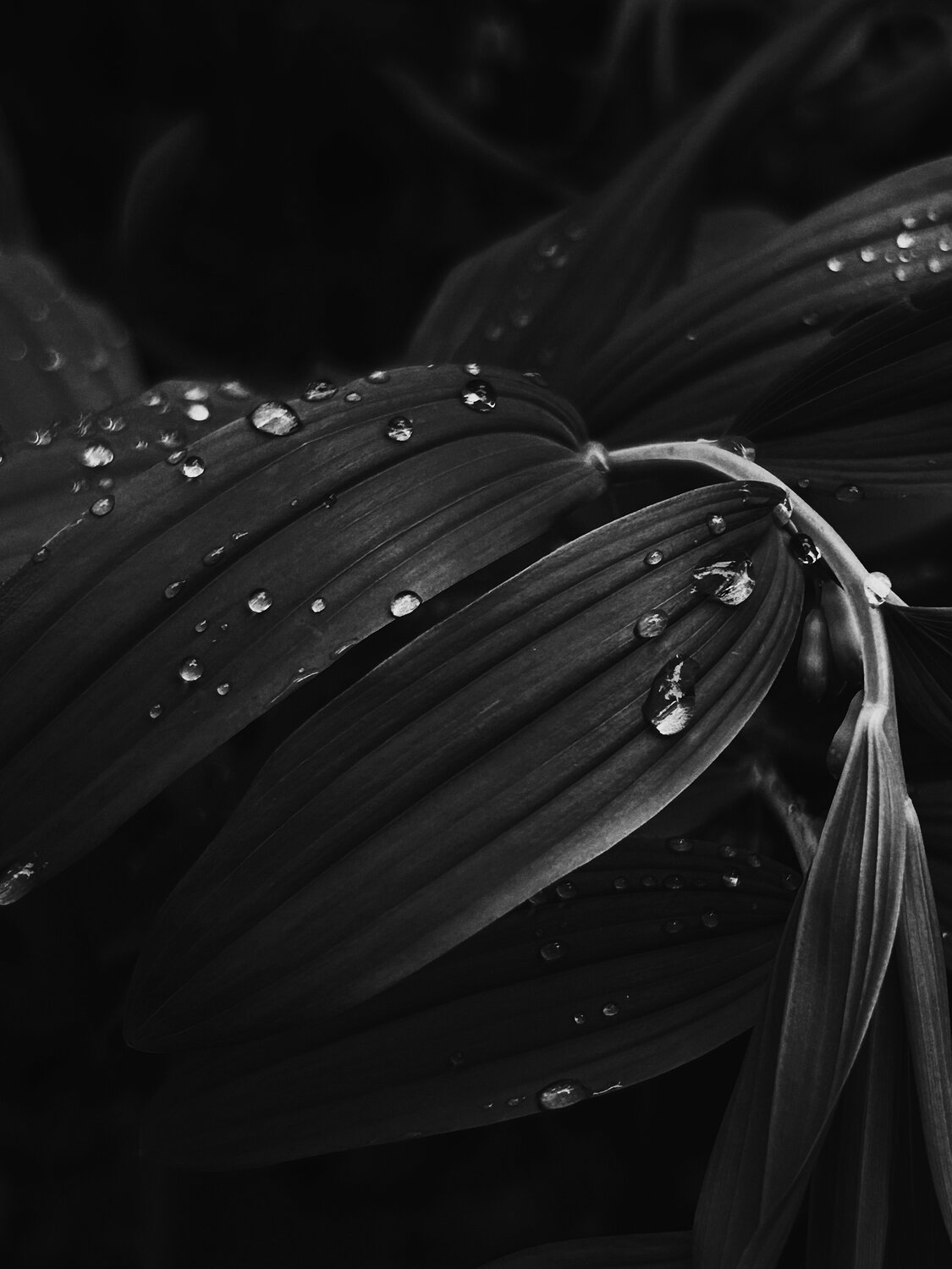Photo #14149529