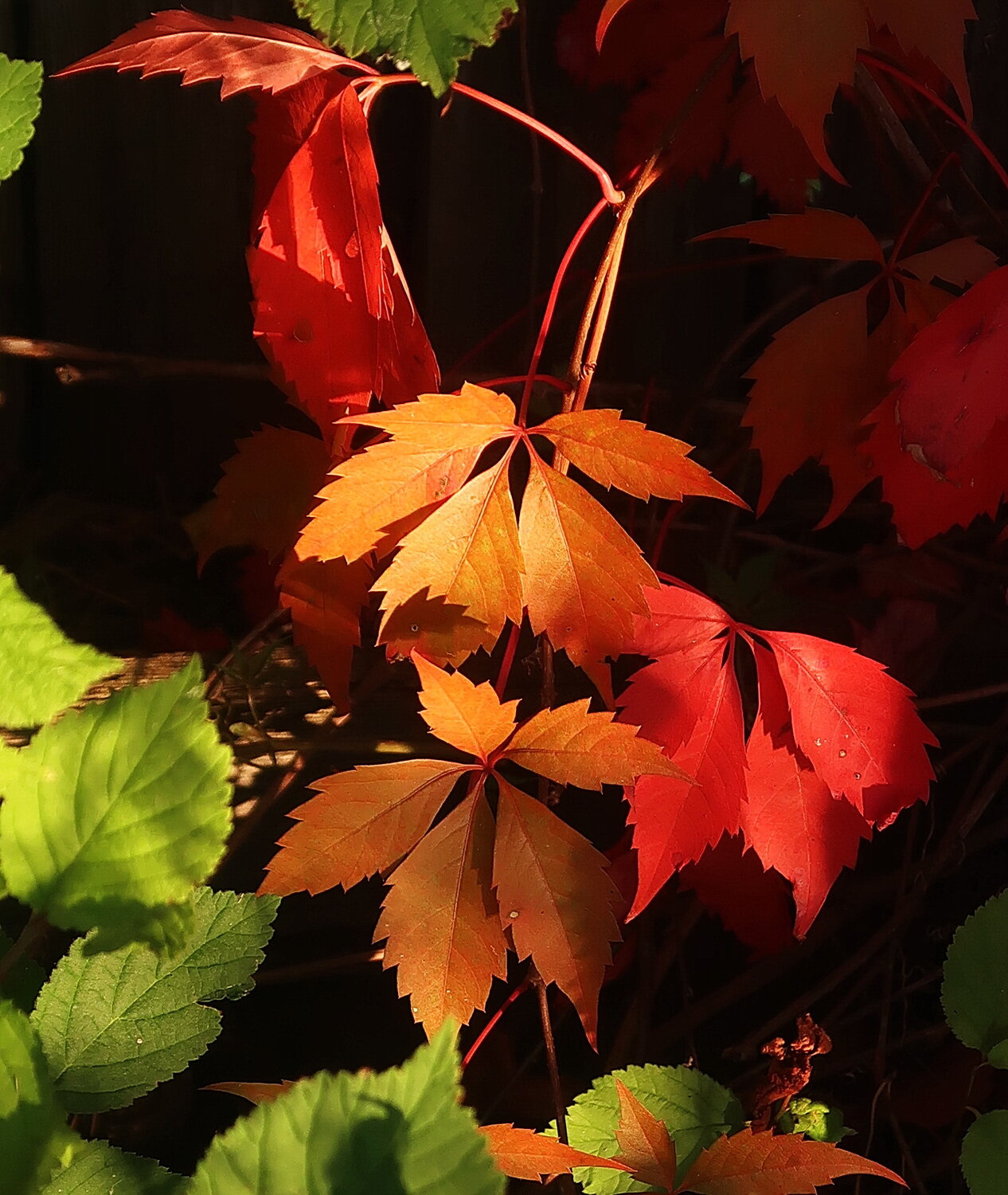 Photo #14149574