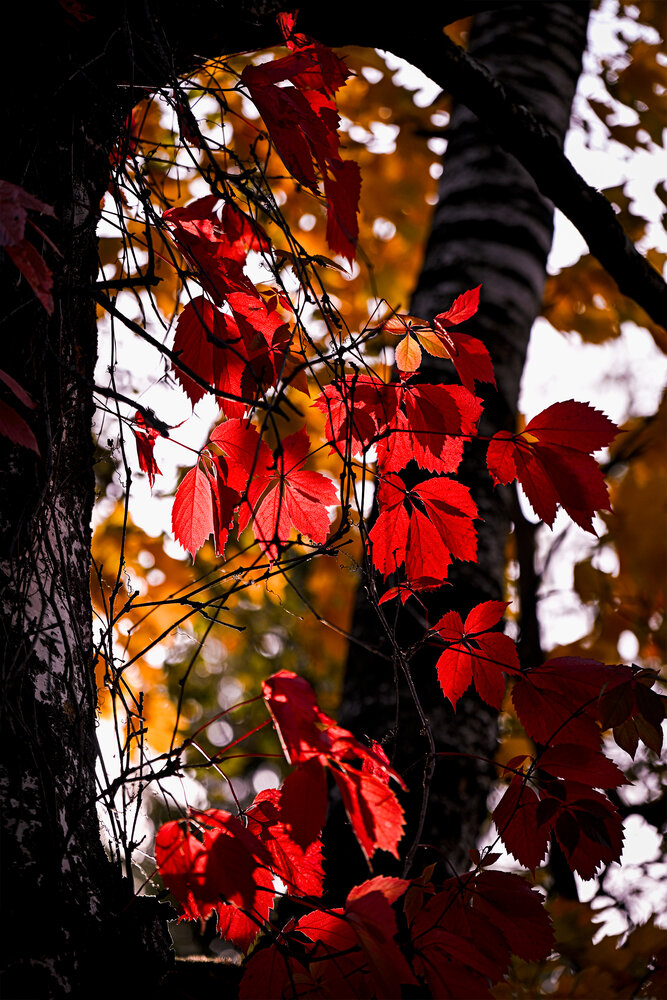 Photograph by Андрей Мартынов
