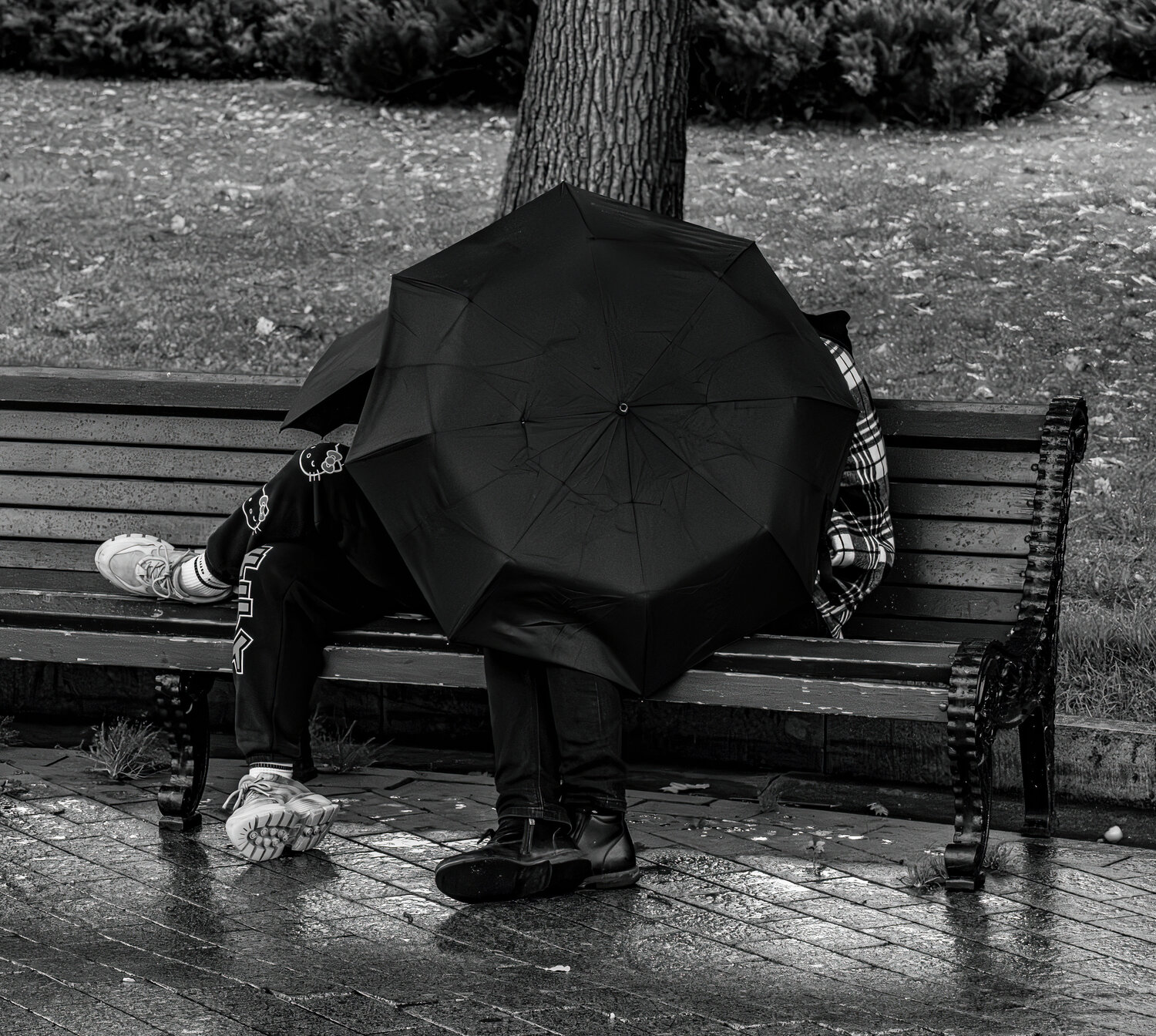 Photo #14149758