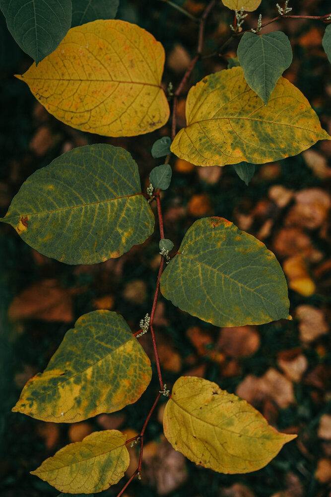 Photograph by Анастасия Китаева