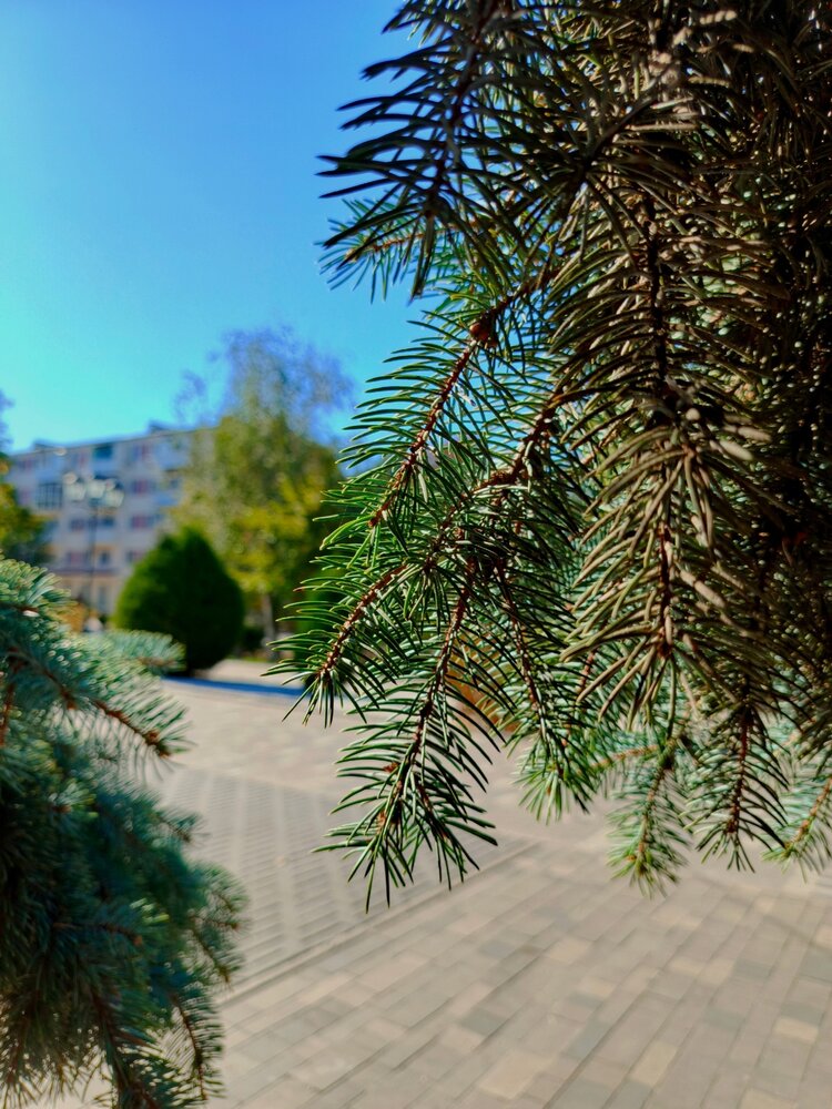 Photograph by Майя Стащенко
