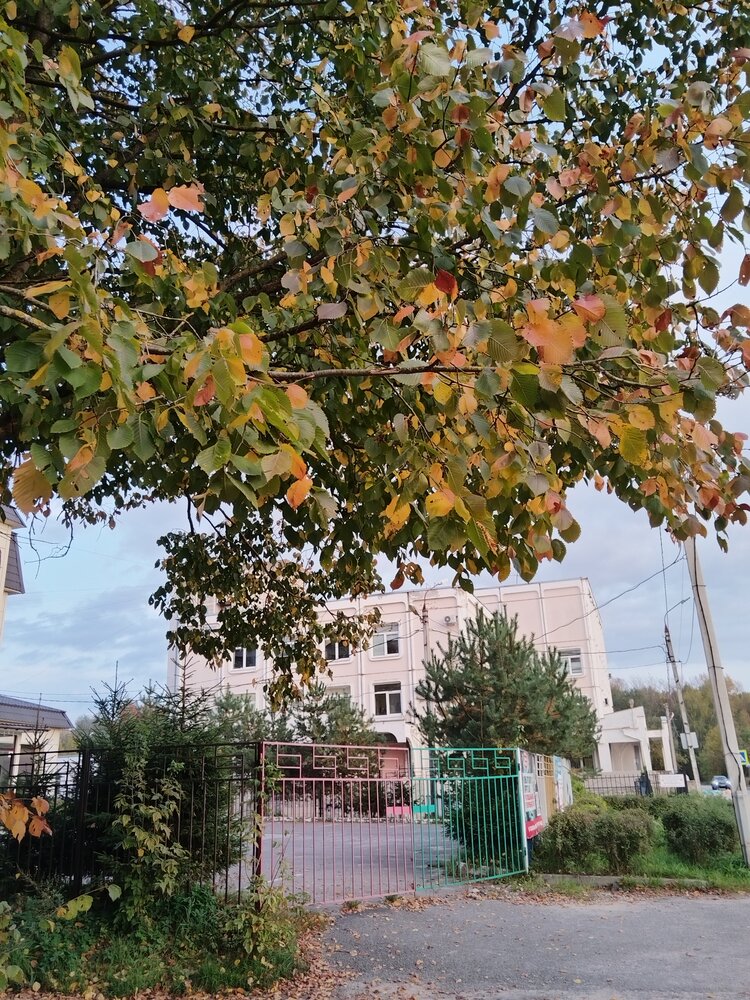 Photo #14149837