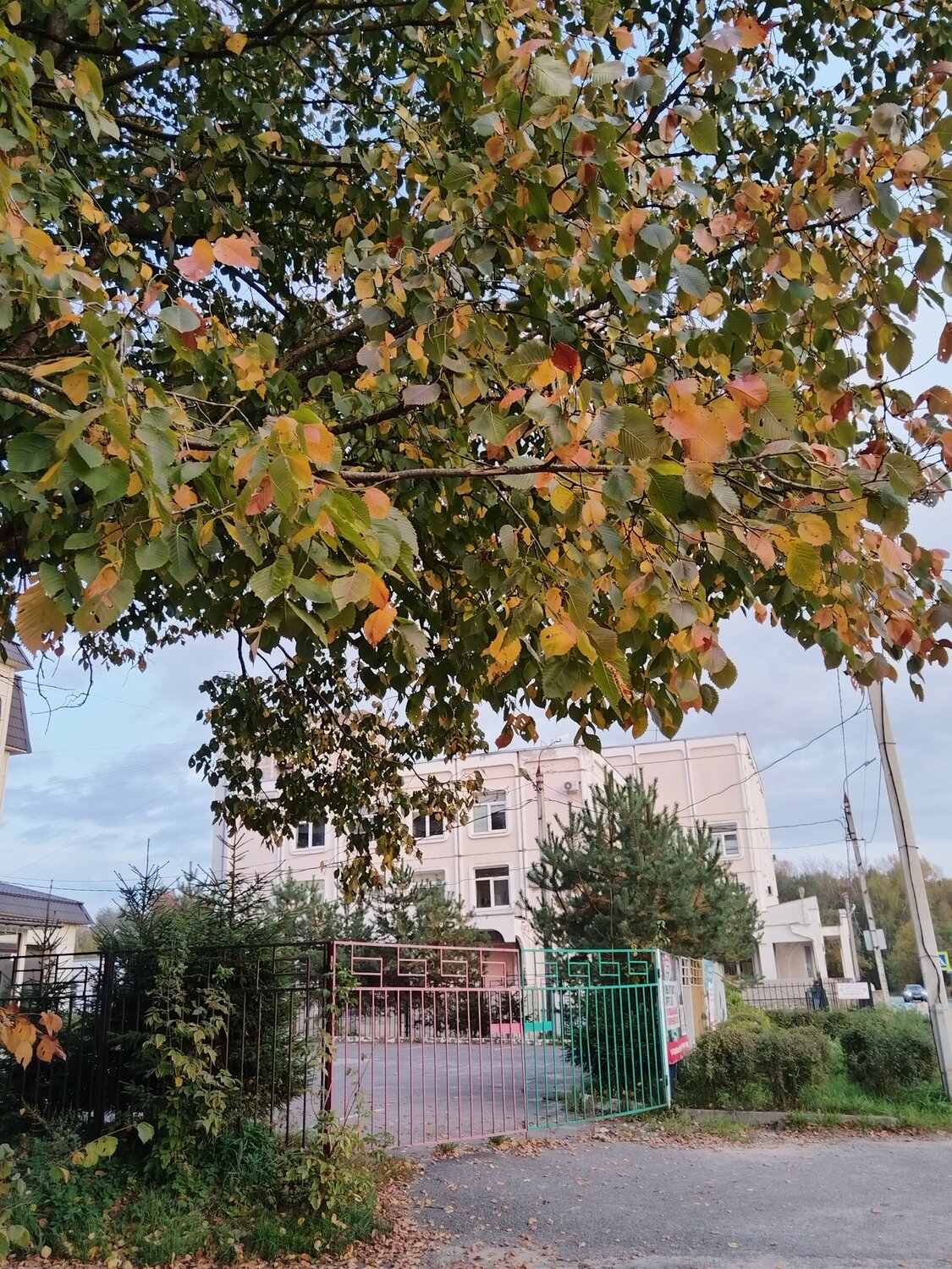 Photo #14149837
