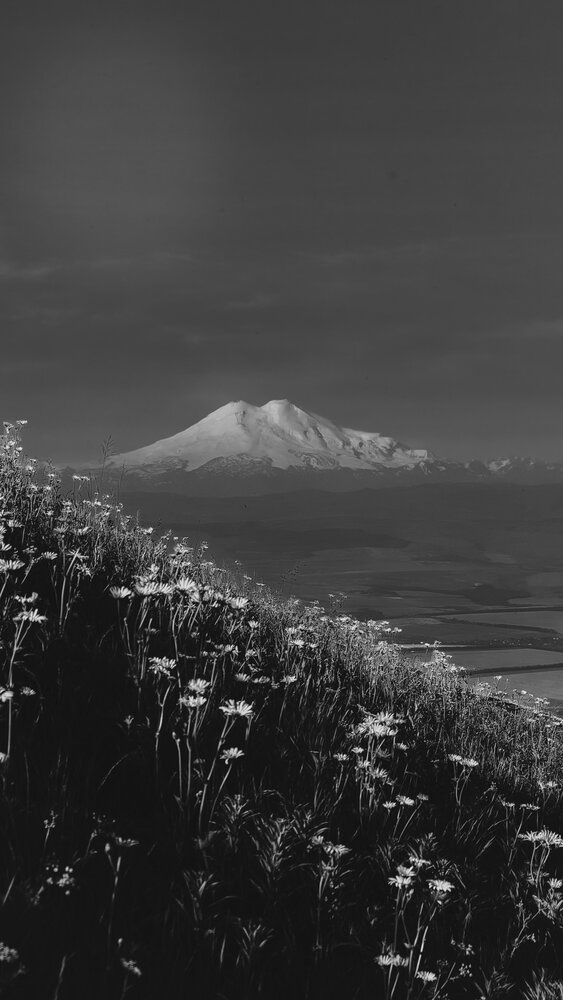 Photograph by Анастасия Китаева