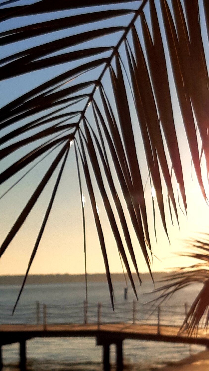 Фотография #14149933