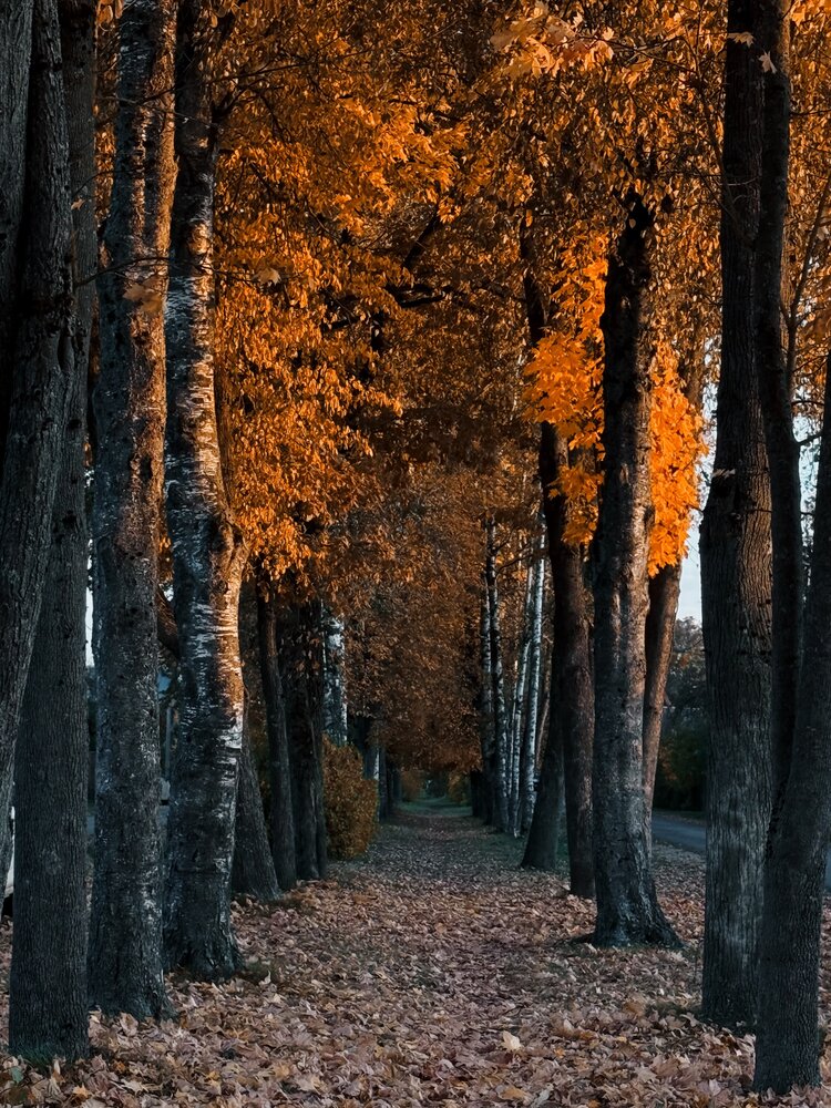 Photograph by Светлана Долганова