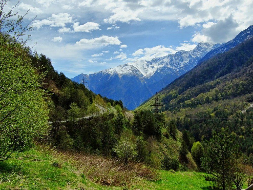 В горах Осетии. Май 2016.