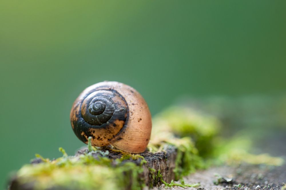 Photograph by Филиппов Алексей