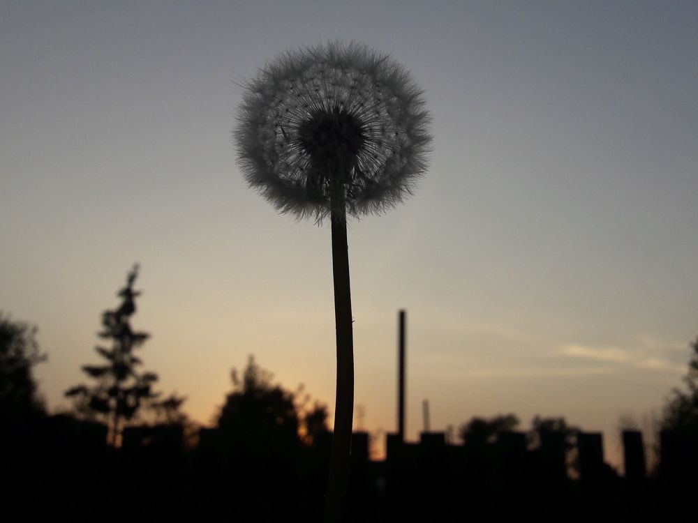 Photograph by Еньшина Анастасия