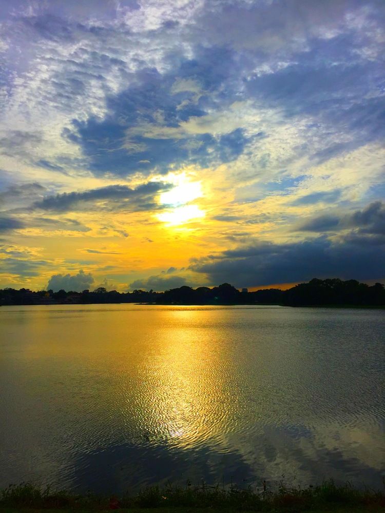 Beautiful golden Sunset