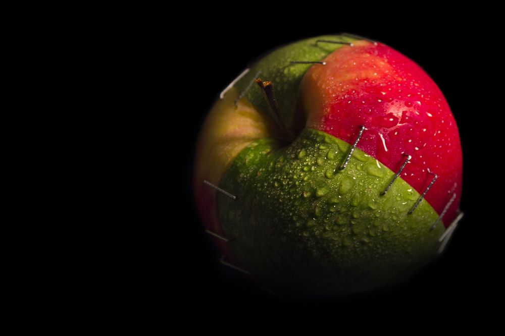 Сила в единстве - Strength in unity