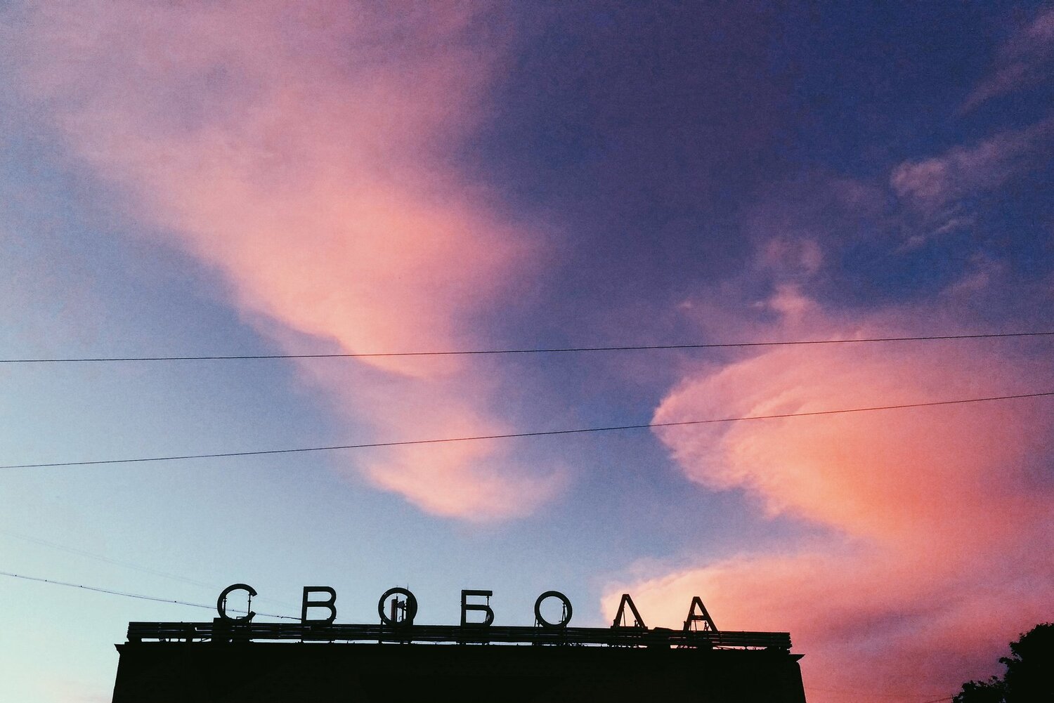 Свобода