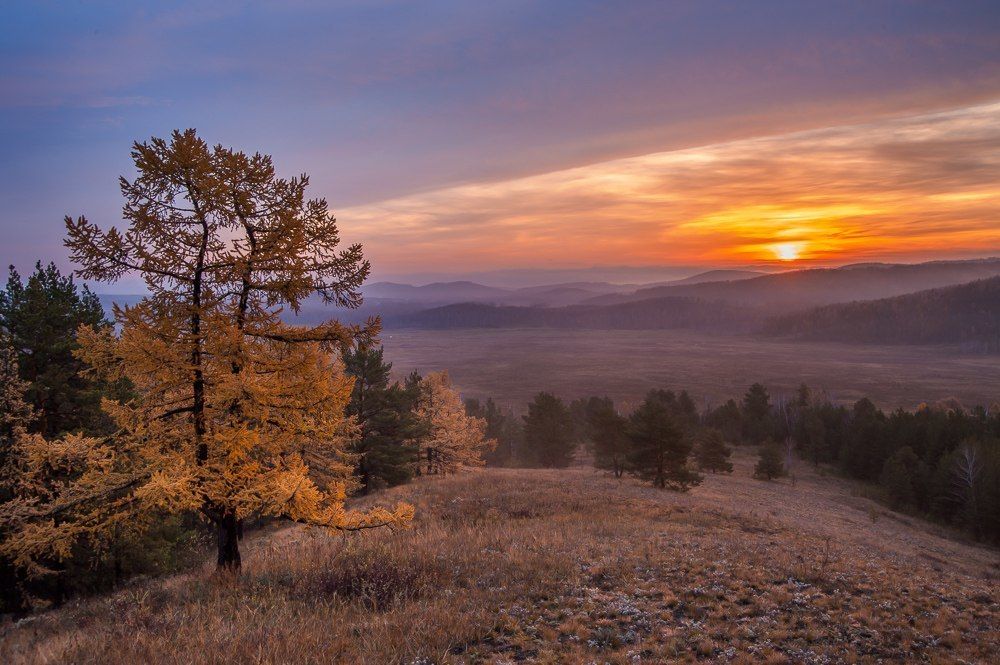 Photograph by максим