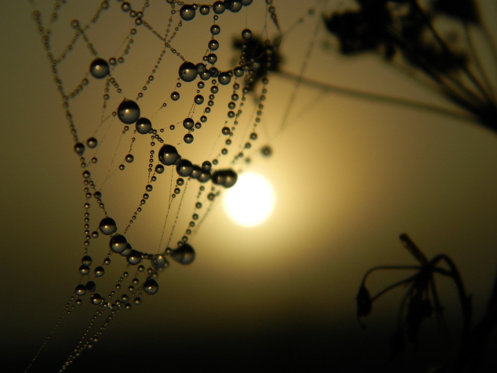 Рапсодия осеннего рассвета..