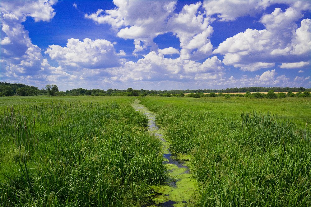 Красота деревни белорусской