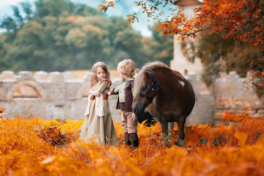 Сказка о принце и принцессе