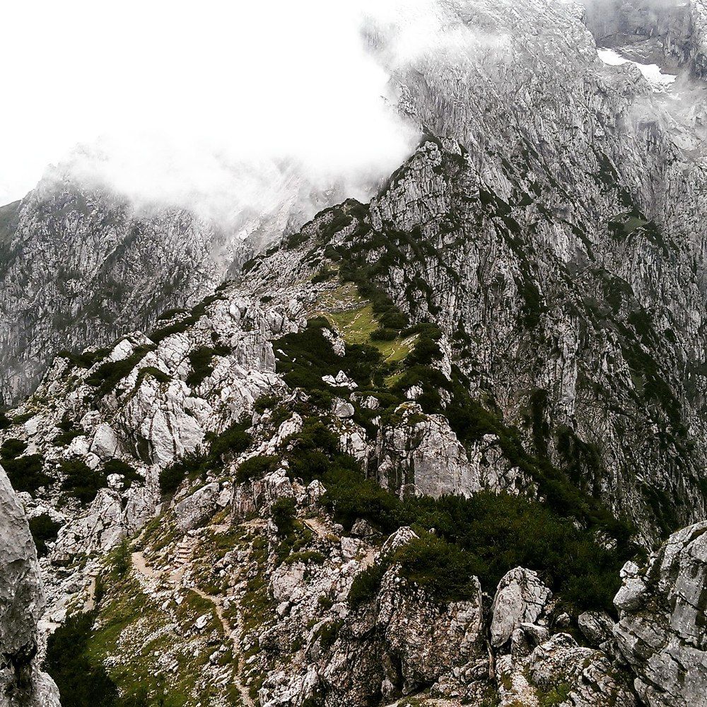 Photograph by dariya