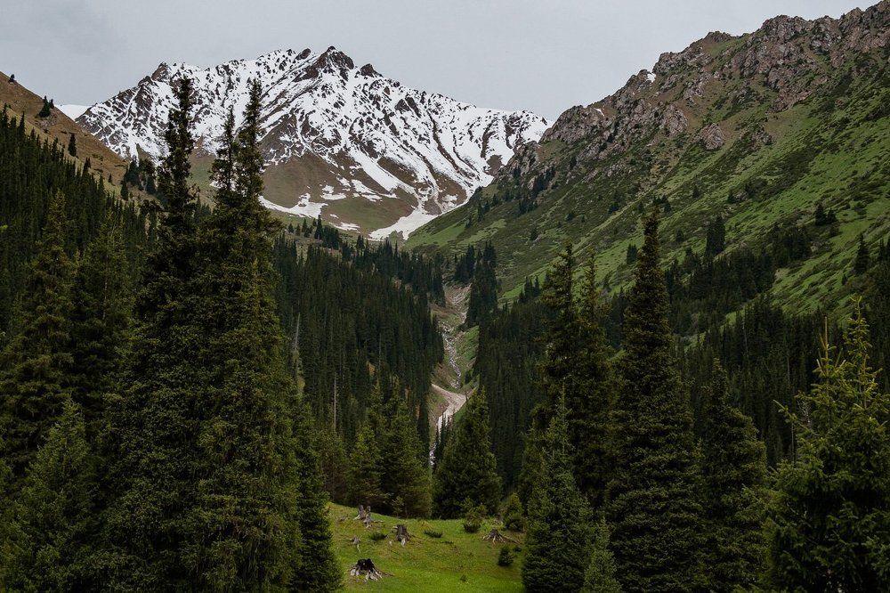 На Тянь-Шане