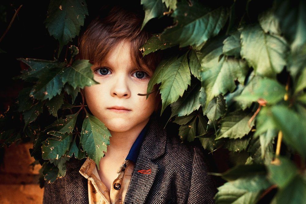 Осень наступила