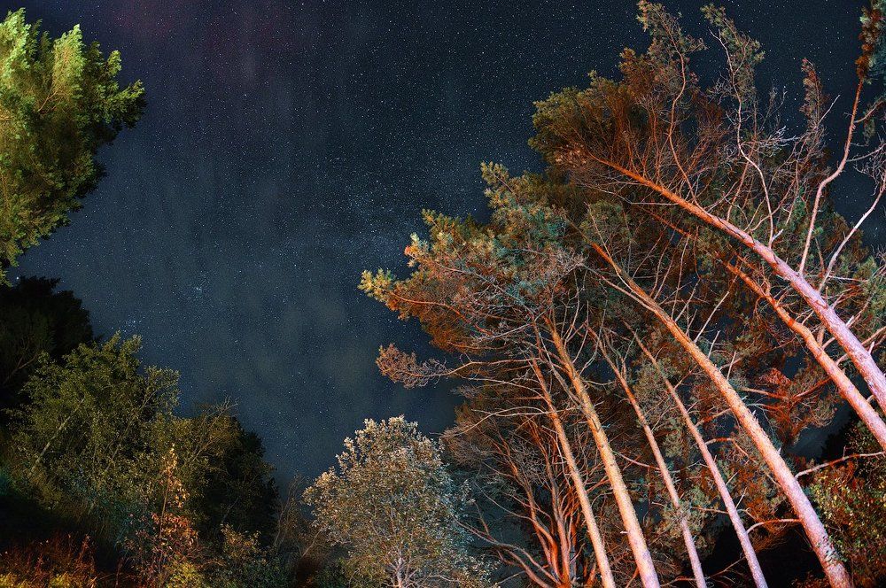 Под Звездами