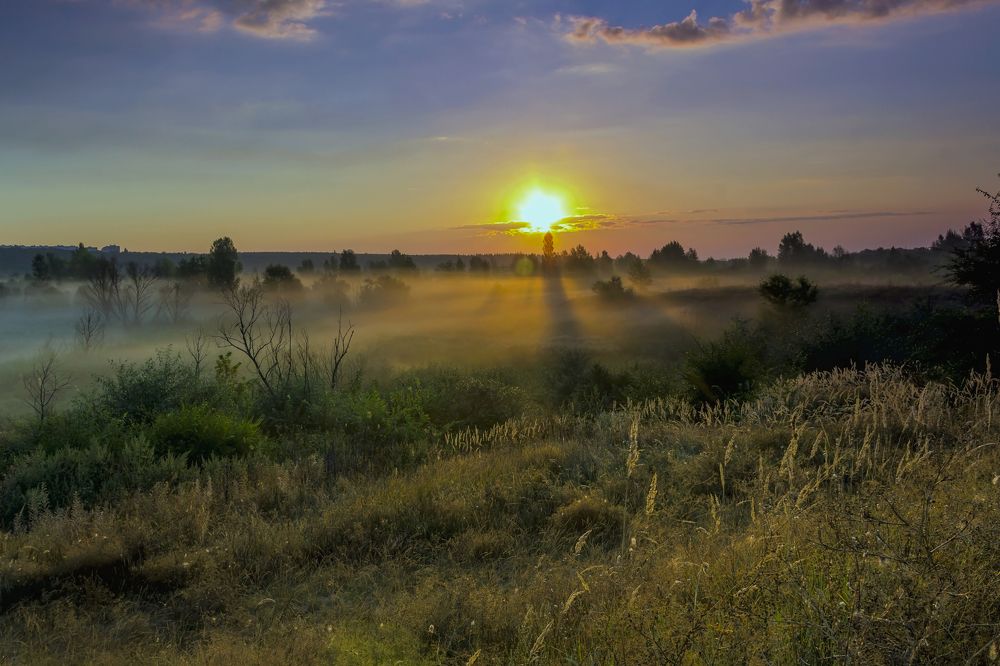 На рассвет..