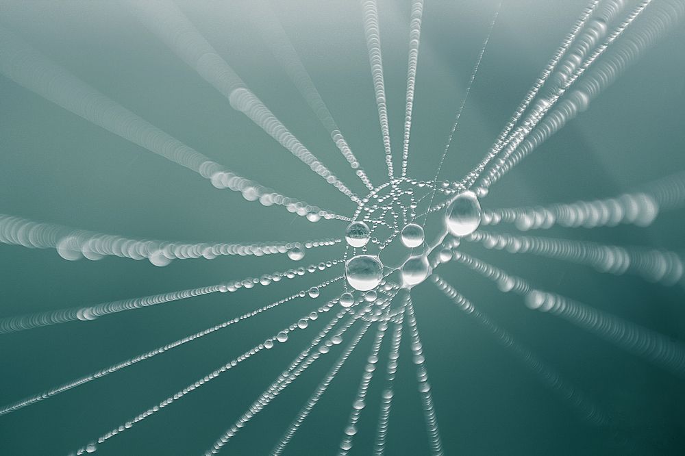 Воздушные линии2