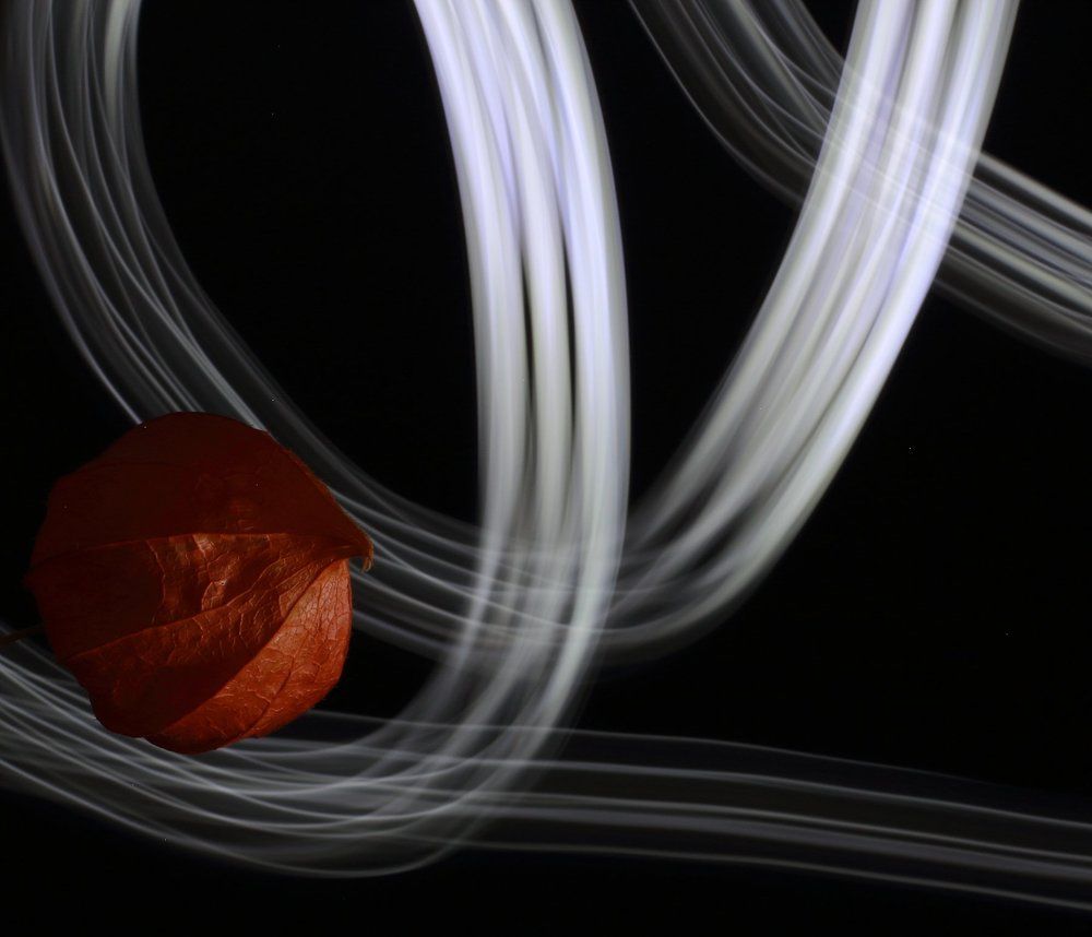 Фотография автора Anna