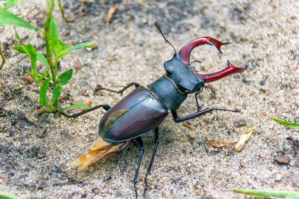 Только прилетел..