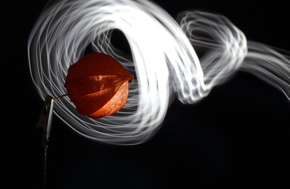 Фотография автора Anna