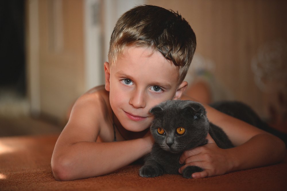 Человек и кошка