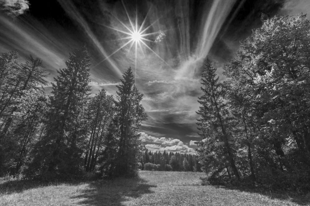 Под звездой, по имени Солнце..