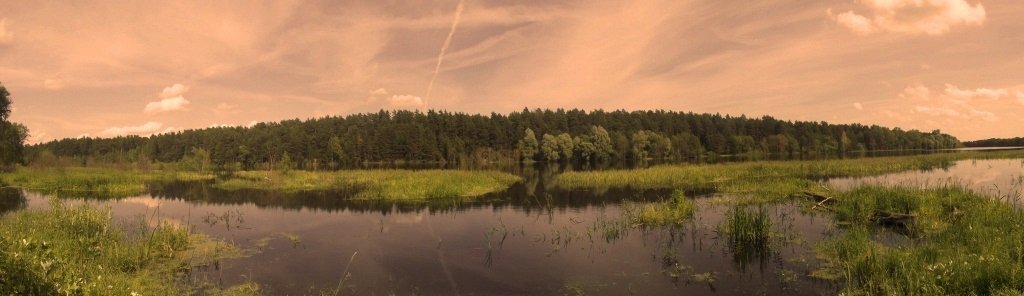 впечатление