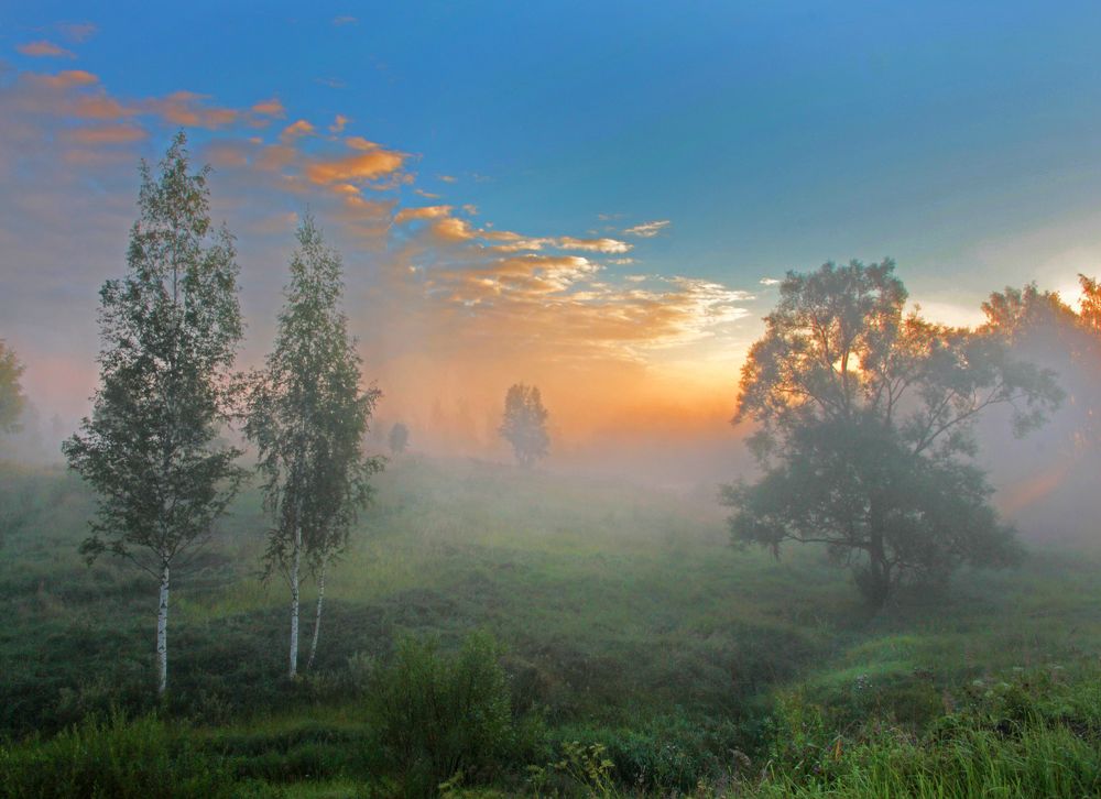 Когда  просыпаешь рано!