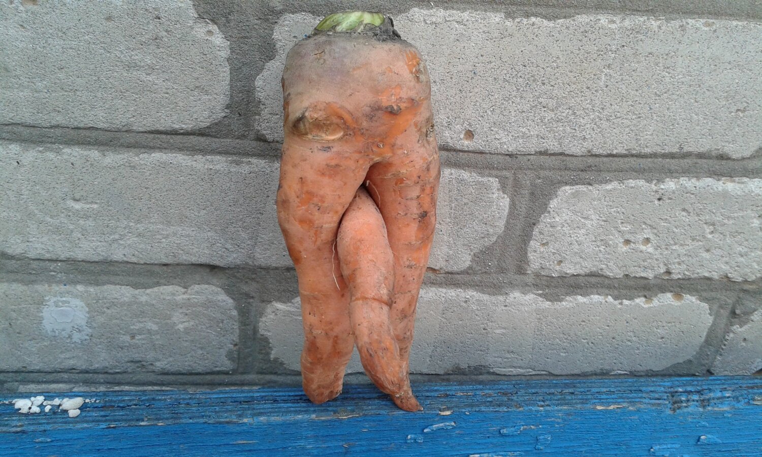 Чудо природы