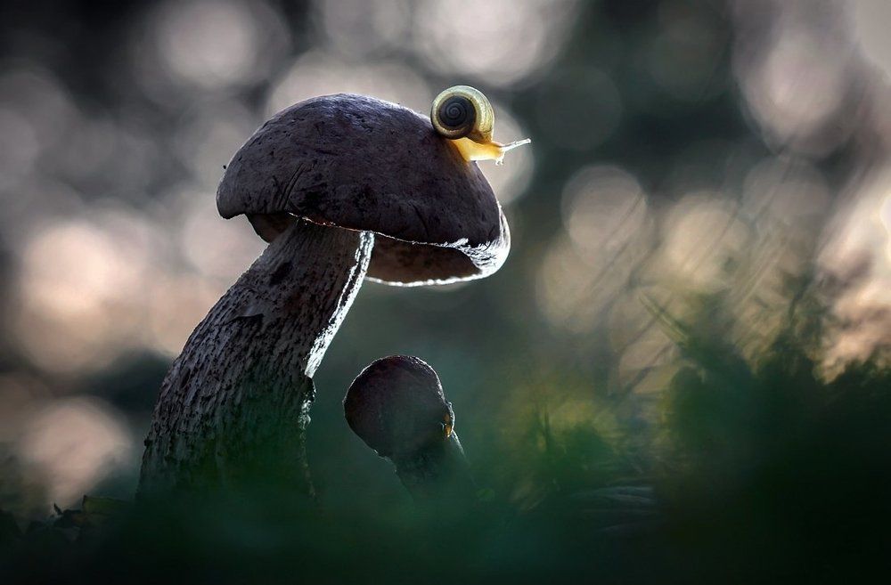 Провожая день