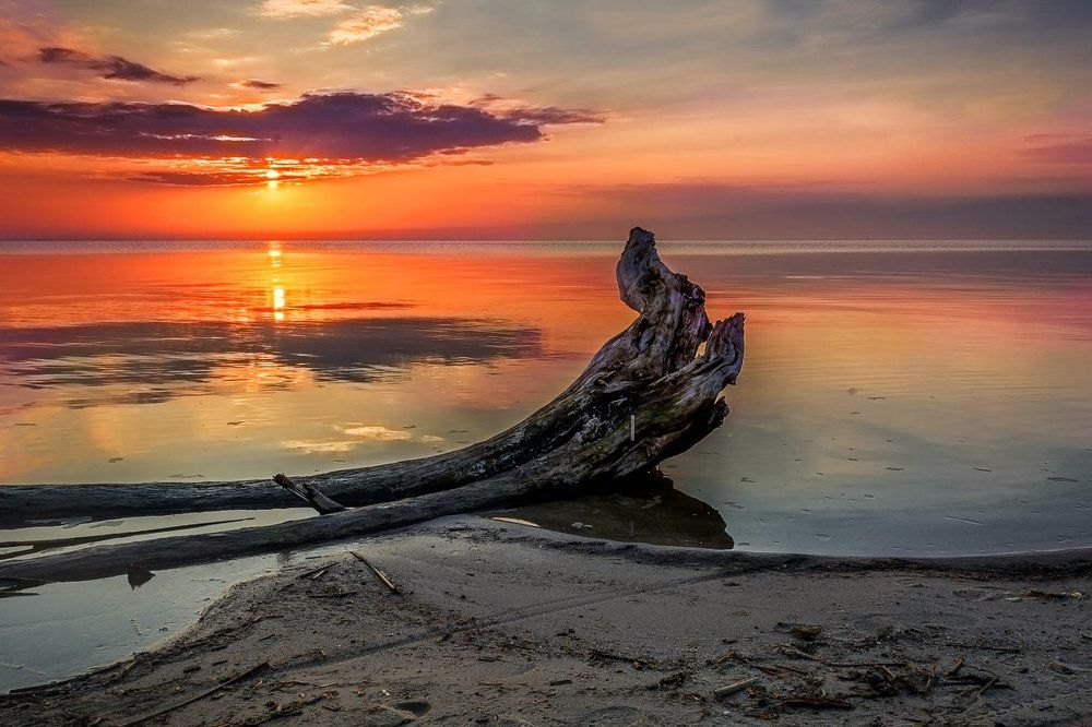 Летнее утро