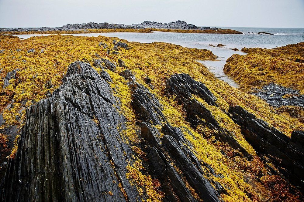 Мыс Немецкий