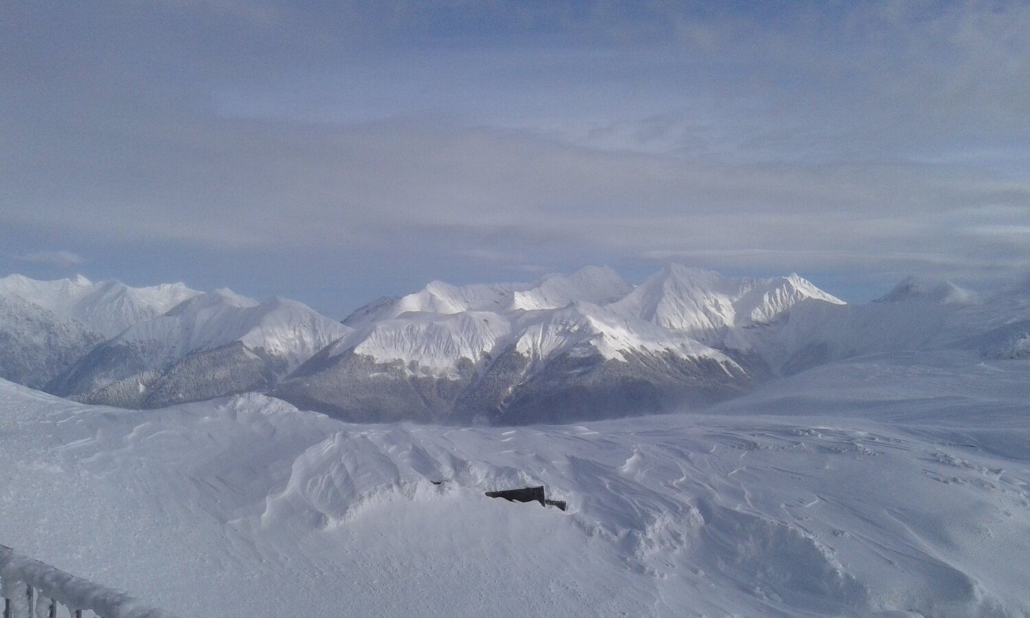 Photo #1419845