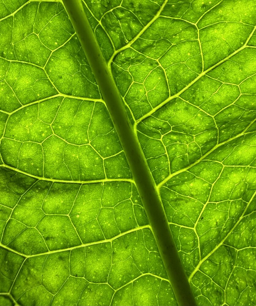 Узоры на нефрите/ Patterns on Jade